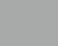 Gray Slide
