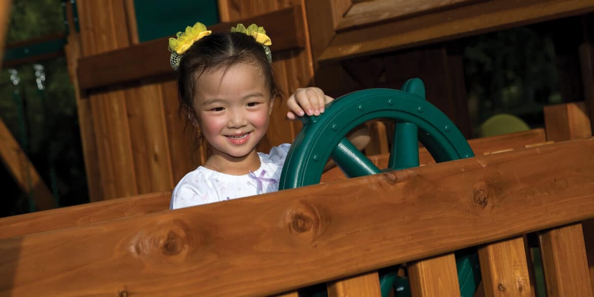 Classic Lifetime Playsets + Swingsets Bear Playgrounds